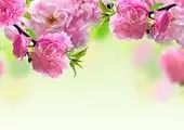 بررسی تأثیر اسلام بر فرهنگ و هنر آفریقا