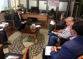  درختان معابر شهری برای بارش های زمستانی آماده می شوند

