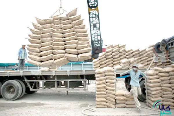 عرضه سیمان در بورس کالا تیر خلاص بر قلب دلالان