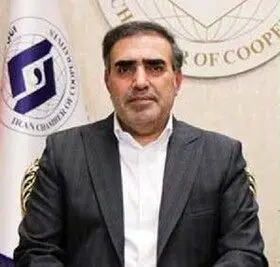 سهم فعلی بخش تعاون ۶ درصد است