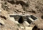 فرهنگ‌سازی و اعتمادسازی از اصلی‌ترین راهکارهای توسعه پوشش بیمه در بخش کشاورزی است

