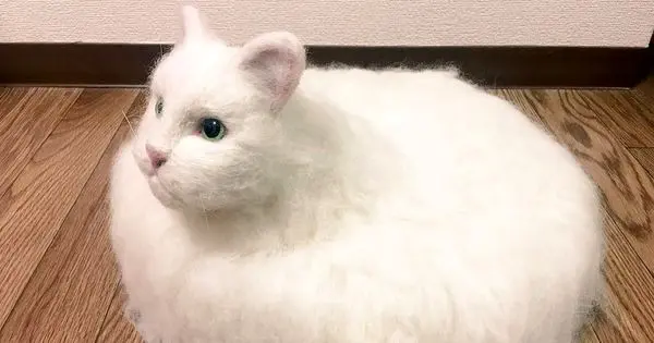 جارویی که سر و صدای زیادی کرد + عکس