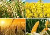 تامین منابع ارزی نهاده های کشاورزی از اولویت های این بانک است
