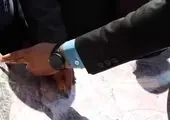 افتتاح دو پروژه عمرانی در شرق و غرب تهران