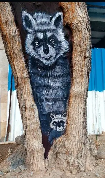 آثار بدیع هنری بر روی درختان خشکیده منطقه2 نقش بست