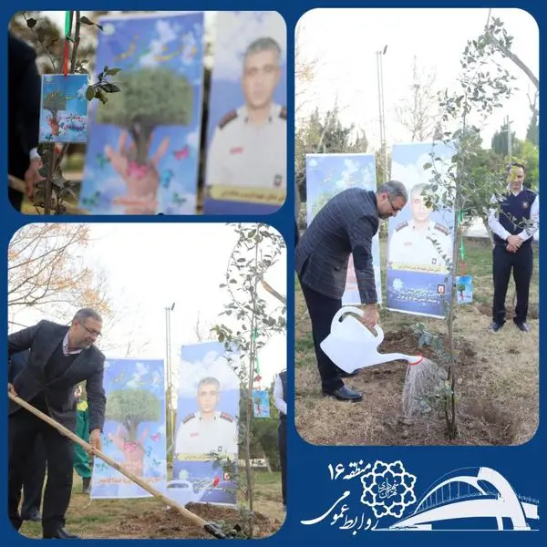مراسم کاشت نهال به یاد شهید دارابی در منطقه ۱۶