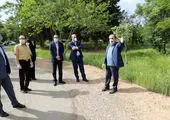 درختان واقع در میدان امام خمینی(ره)، به میدان امام حسن(ع) انتقال داده شدند

