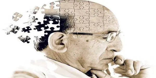 استقبال گسترده سالمندان منطقه 3 از “لیگ حافظه”