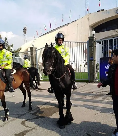 حضور پلیس اسب سوار در اطراف ورزشگاه آزادی+عکس