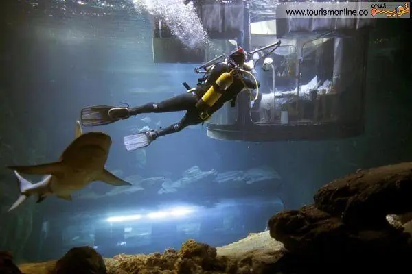 متفاوت ترین اتاق جهان اینجاست!+عکس