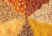 پرداخت تسهیلات 17500میلیارد ریالی بانک کشاورزی برای تأمین بذورگواهی شده