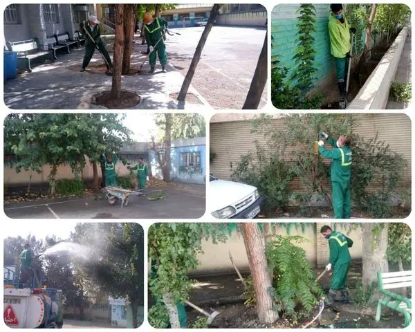 بازپیرایی عرصه فضای سبز مراکز آموزشی منطقه 15