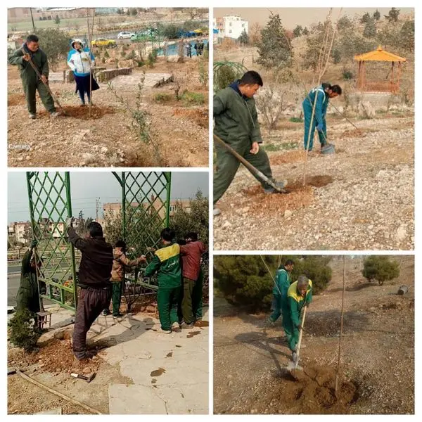 توسعه و بازپیرایی ۲۰ هزار مترمربعی فضای سبز منطقه۱۳ 