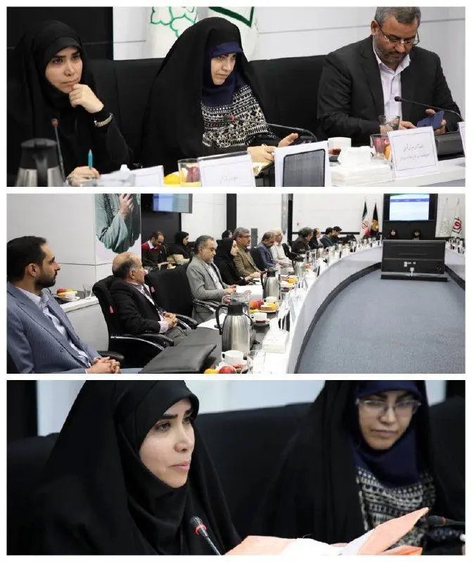 ضرورت صرف فعل "خواستن" در اجرای مصوبه کاهش مصرف پلاستیک 