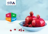 شاتل موبایل بسته‌های اینترنت تخفیف‌دار ویژه دوره جدید قرنطینه عرضه کرد