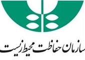 تقدیرنامه "تلاش برای شهر" به شهرداری منطقه سه تهران اهدا شد                 

