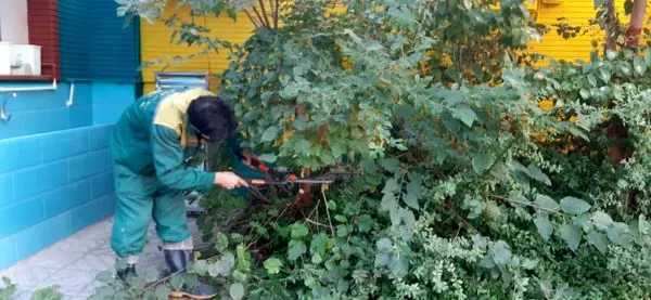 بهسازی فضای سبز 32 مدرسه منطقه 15