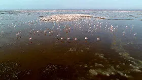 همکاری ایران و ژاپن برای رونق معیشتهای سازگار در دریاچه ارومیه و ۴ استان تالابی