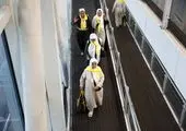 اعزام بیش از ۸۱ هزار زائر عمره از ۱۵ فرودگاه

