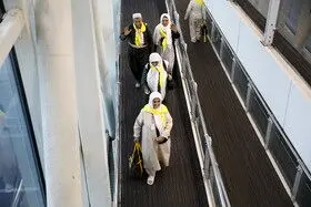 اعزام بیش از ۸۱ هزار زائر عمره از ۱۵ فرودگاه

