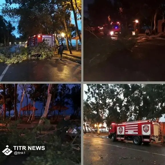 تصاویری از خسارات باد شدید و شکستن درختان ساحلی در محمودآباد