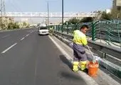 آبشویی بیش از 93 هزار اصله درخت در شمال شرق تهران