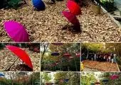 نهضت دیدارهای مردمی شهردار منطقه ۲۱ با شهروندان در سطح مساجد آغاز شد