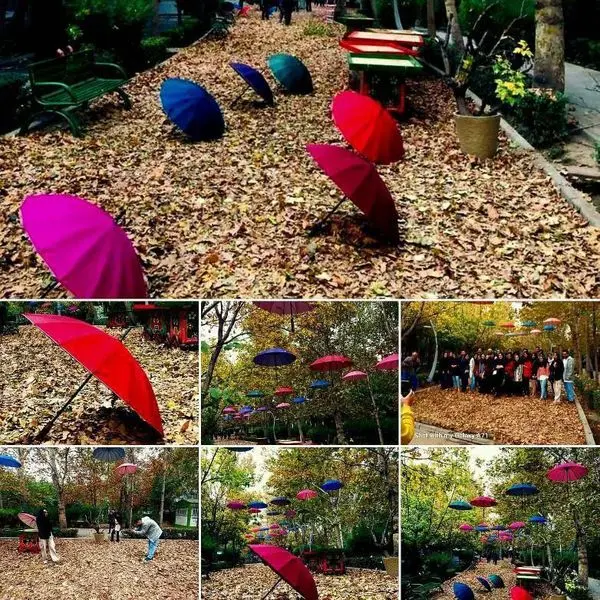 پهن کردن فرش رنگی از برگ های پاییزی در قلب پایتخت