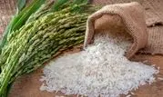 عرضه برنج با نرخ مصوب برای ایجاد ثبات در بازار

