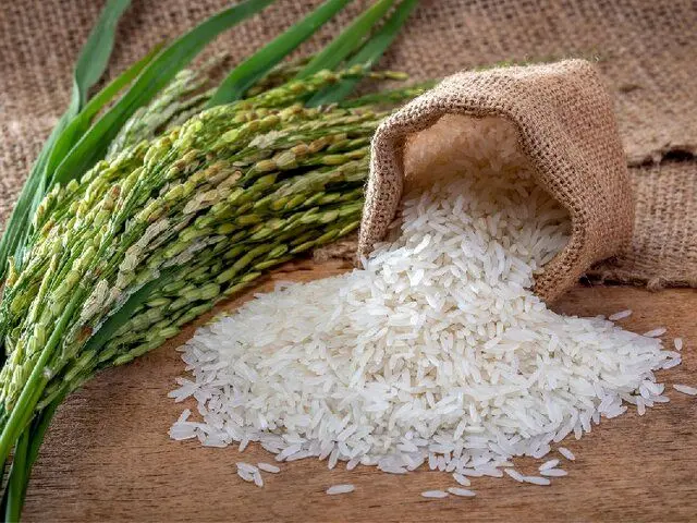 عرضه برنج با نرخ مصوب برای ایجاد ثبات در بازار

