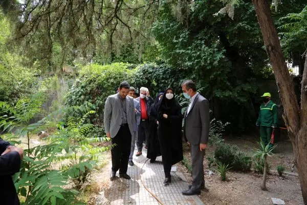 هدیه شهرداری منطقه به شهروندان تهرانی