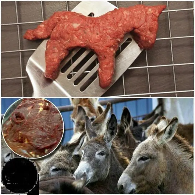 مردمی که طرفدار گوشت الاغ هستند!+عکس