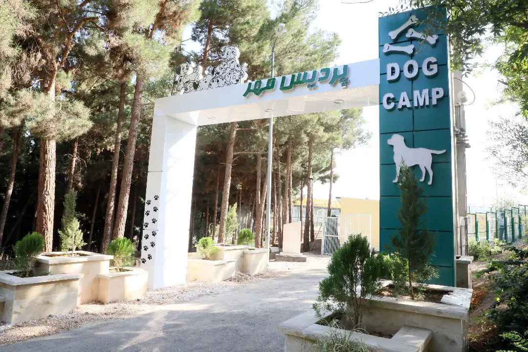 ساماندهی سگ های بی صاحب شرق پایتخت با فعالیت «پردیس مهر»

