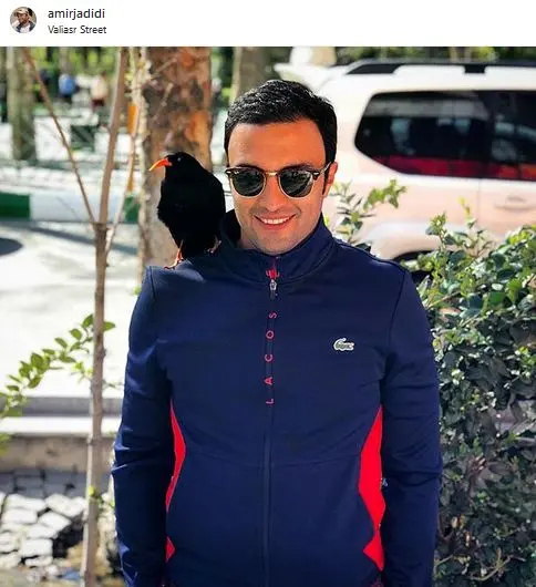 همزیستی مسالمت‌آمیز بازیگر مشهور با کلاغ سیاه+عکس