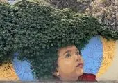 ۳۰ هزار پیاز گل لاله در میادین، بوستان ها و معابر منطقه ۳ کاشته شد

