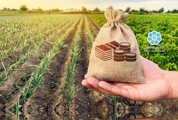 بانک توسعه تعاون 24 هزار و 500 میلیارد ریال تسهیلات اشتغال پایدار روستایی پرداخت کرد