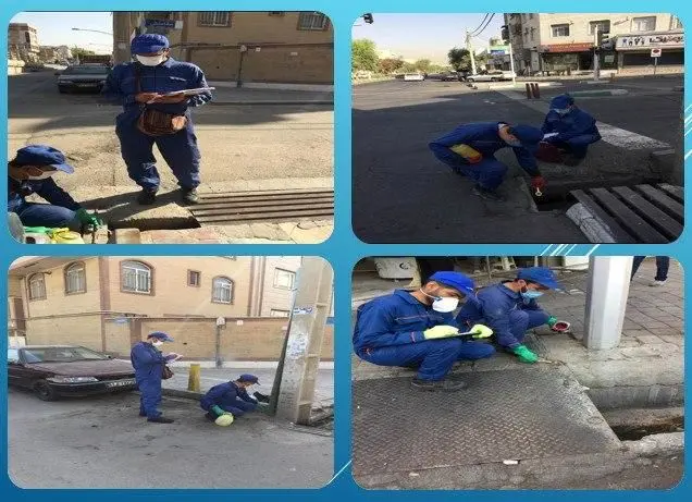 طعمه گذاری کلونی  های فعال  جانوران موذی منطقه15 

