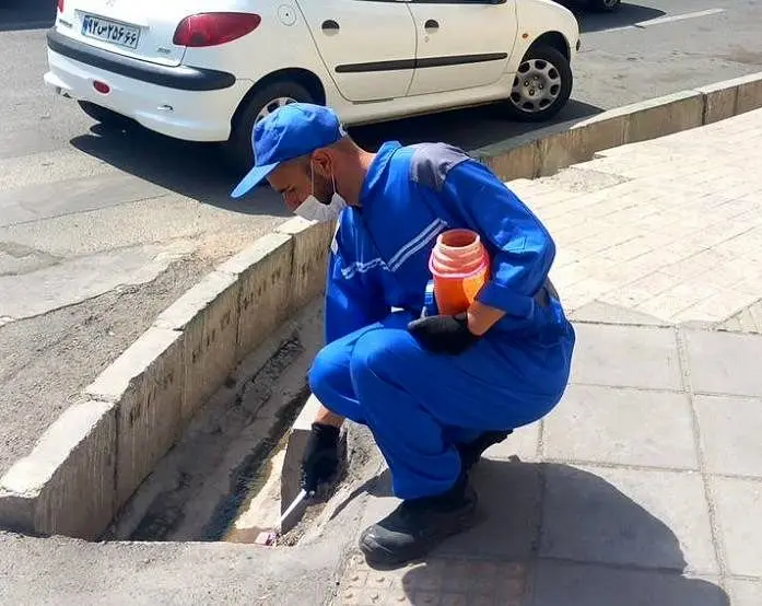 زیستگاه جانوران موذی در منطقه۲ طعمه گذاری شد

