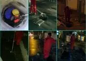 مقابله با آفات در منطقه۱۳ با تمرکز بر روش های دوستدار محیط زیست


