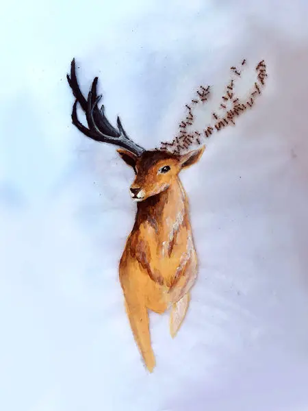 نقاشی‌هایی حیرت‌انگیز با کمک مورچه‌های زنده+عکس