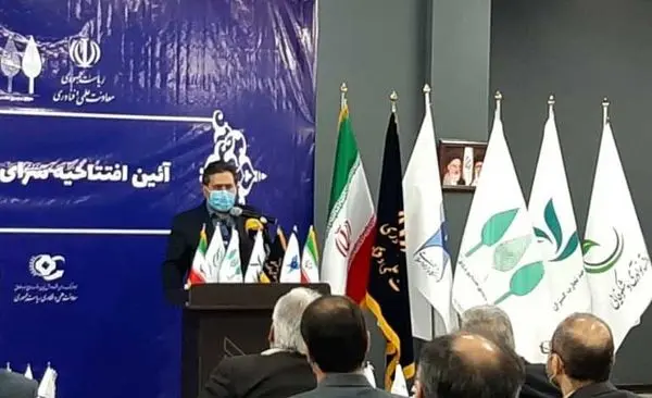 حمایت 200 میلیارد تومانی صندوق نوآوری از توسعه فضاهای نوآوری در کشور