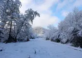 ورود سامانه بارشی به کشور

