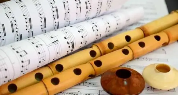 معرفی هنر نی‌نوازی در "ایران" پرس تی‌وی

