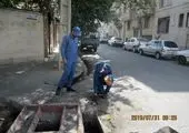 طرح مبارزه با جانوران مضر شهری در شمال شرق تهران