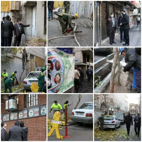 رصد میدانی شهردار منطقه ۶ از اجرای طرح تحول نگهداشت شهر