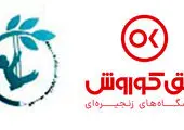 اهداء کالاهای خوراکی و بهداشتی به موسسه توانبخشی بچههای آسمان کامران