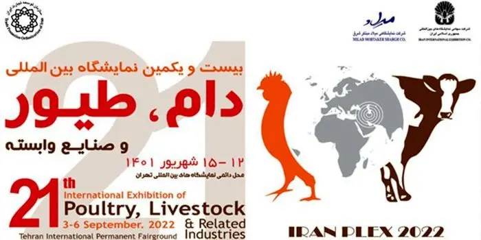 آخرین گزارش از بزرگترین نمایشگاه دام و طیور ایران ۱۴۰۱