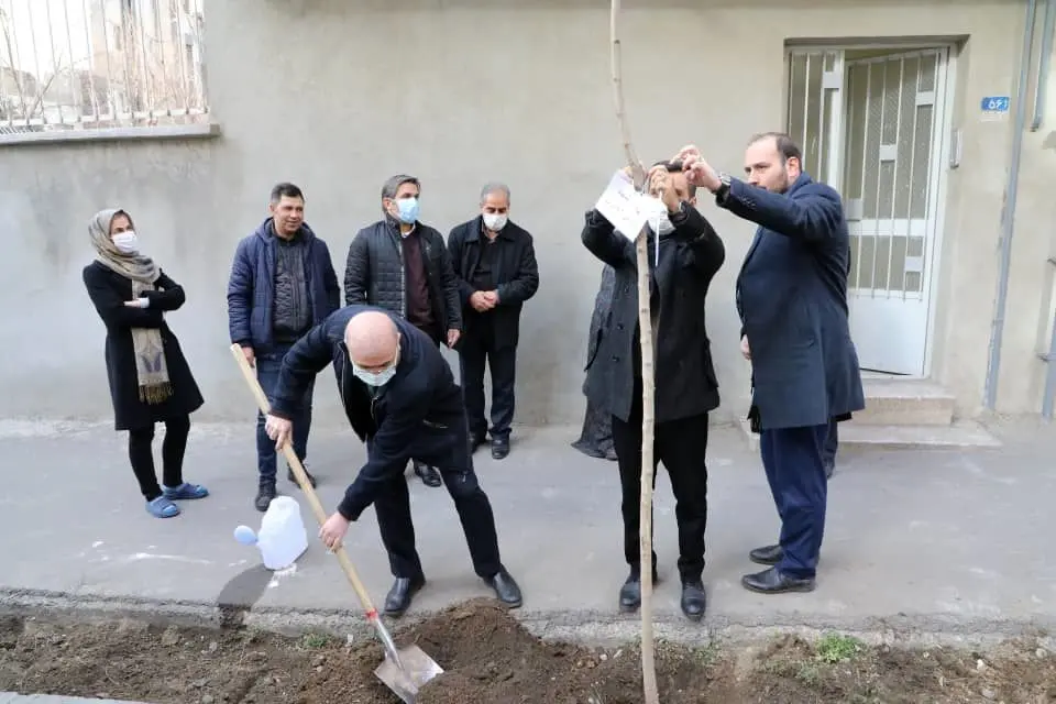 ۱۵ هزار اصله نهال در محدوده منطقه۱۳ سبز می شود 