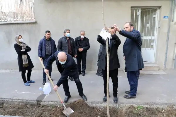 ۱۵ هزار اصله نهال در محدوده منطقه۱۳ سبز می شود