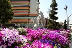 منطقه 7 به استقبال از بهار می رود

